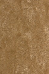 texture of a fabric veolur