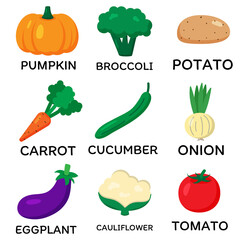 Set of vector vegetables. Cartoon flat style. Cauliflower, carrot, eggplant, onion, broccoli, pumpkin, tomato, potato, cucumber. Print for recipes, restaurant, supermarket, market place. Vegan food