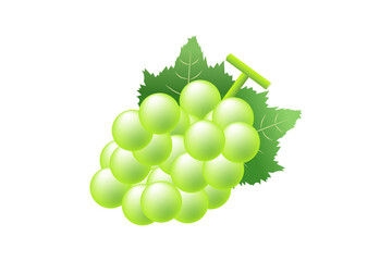 マスカットのイラスト