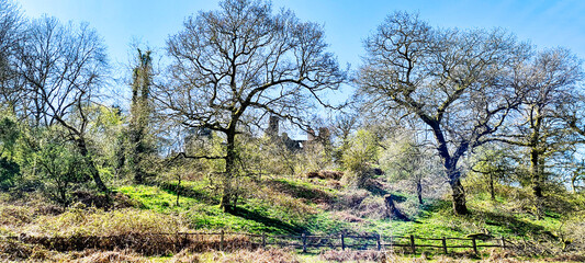 Ruined Dinefwr (Dynevor) Castle overlooking the River Tywi - Llandeilo, Carmarthenshire, Wales, United Kingdom