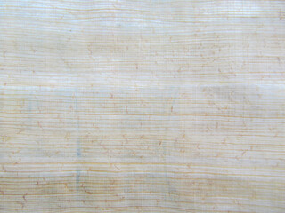 Texture of papyrus imported from Egypt and Israel