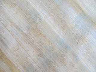 Texture of papyrus imported from Egypt and Israel