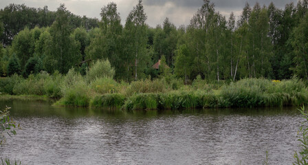A river bank, overgrown with lush vegetation and roofs of the houses sticking out of the birch trees against stormy clouds. Rural evening scene by the water.