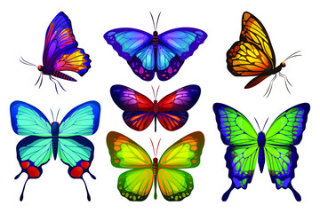 Butterfly or moth butterfly collection. Vector icons of colorful insects, tropical biological species or animals group. Summer decorative elements, realistic design.