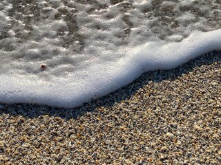 beaches in singer island in Palm Beach Florida  sea shells and sand 