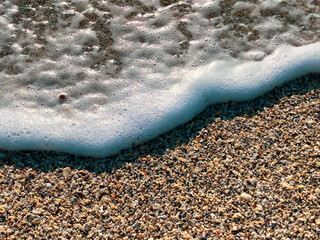 beaches in singer island in Palm Beach Florida  sea shells and sand 