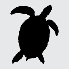 Turtle Silhouette, Turtle Isolated On White Background
