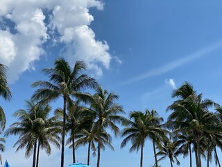 Fototapeta na wymiar beaches in singer island in Palm Beach Florida 