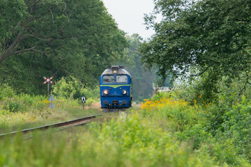 Niebieska lokomotywa jadąca po torach w lesie.