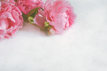 Soft Focus Flat Lay Pink Flowers On White Marble Background With Copy Space