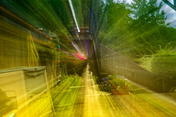 Garten-Zoom Effekt 