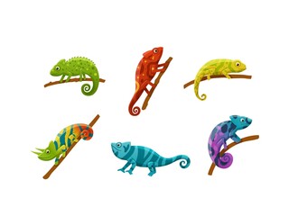 Colorful funny chameleons in rainbow colors, flat vector illustration isolated.