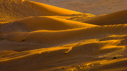 Fototapeta na wymiar Patterns of sand and shadows in sand dunes in the Namib desert at sunset