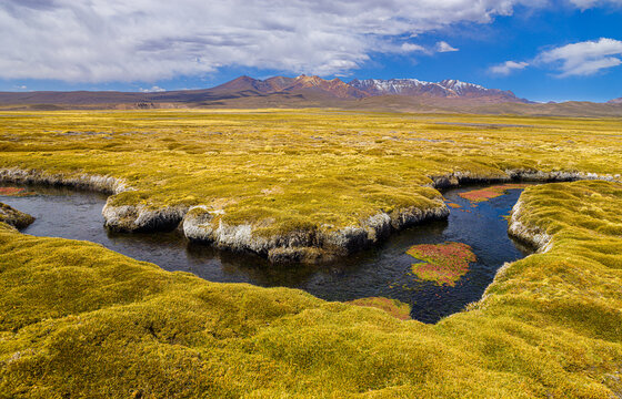 Landscape in the high Andes of northern Chile: a Bofedal with a little river and volcanoes in the background