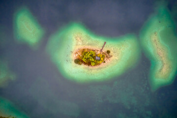 nature landscape of beautiful forest and clear blue lake