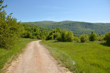 Fototapeta na wymiar rural spring landscape with dusty path in Serbia