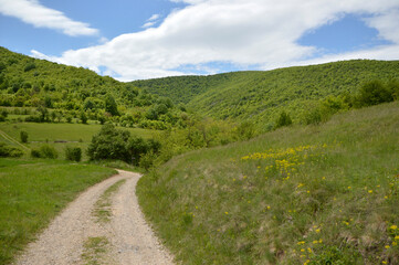 Fototapeta na wymiar rural spring landscape with dusty path in Serbia