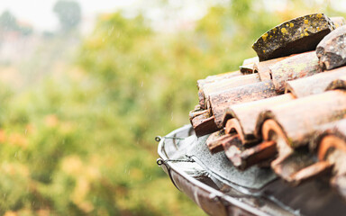Rainy day in summer, view from the window