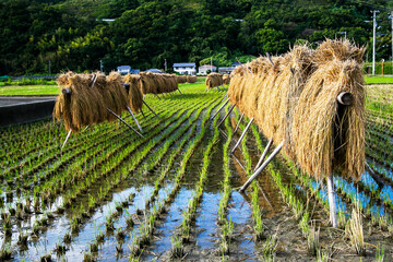 田んぼハンガー
