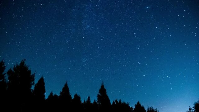Night sky owita Milky Way ver forest.