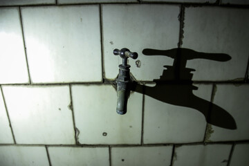 Sombra de canilla
Quill shadow