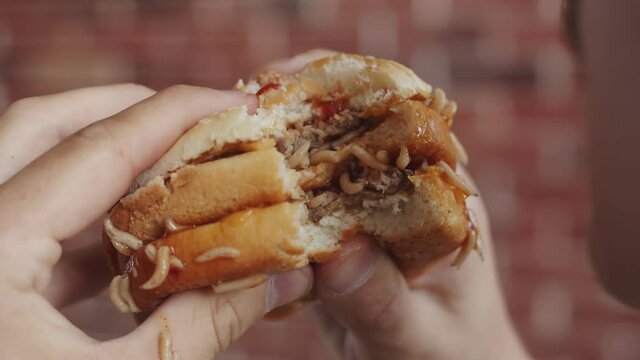 Man eats juicy fresh burger full of maggots. Closeup of man eating burger with moving maggots, back view. Concept of junk food.
