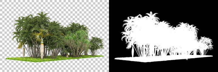 Palm tree forest isolated on background with mask. 3d rendering - illustration © Elscar Studios