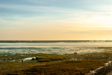 Pastel landscape of swamp and sea at sunset with sky full of colors - Panorama