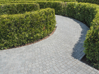 Walking path in park made in form of maze and surrounded by neatly trimmed bushes. Traditional landscaping.