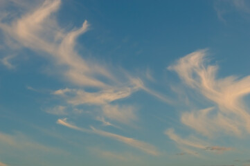 wavy unusual cirrus clouds against the blue sky