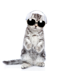 Cute kitten wearing a headphones and sunglasses stands on hind legs and listens music. Isolated on...