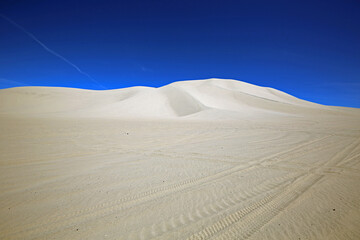 Tracks and dune - Sand Mountain Recreation Area, Nevada