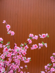 Pink flowers with a brown background. Artificial flowers. Sakura