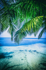 Naklejka na ściany i meble A beautiful beach on a tropical Island.