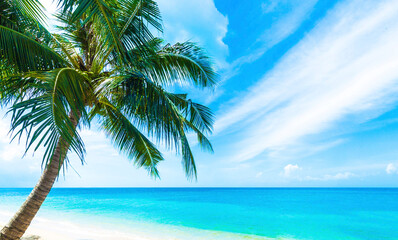 A beautiful beach on a tropical Island.