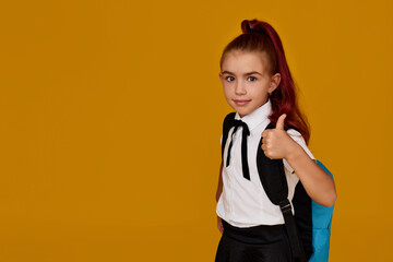 adorable schoolgirl with backpack. Back to school