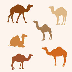 Camel colorful Vector element set