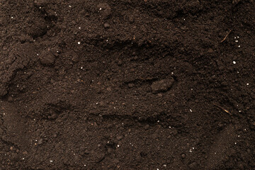 Black land for plant background. Top view.
