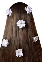 Back view of brown hair with white flowers isolated on white  background. Close up. The concept of strengthening the hair