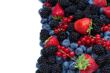 Blackberry, raspberry, blueberry,  red currant and mint background.
