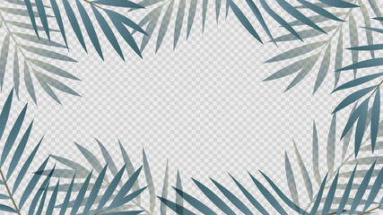 Exotic Palm Plants and Leaves frame  isolated on transparent background ,  Flat Modern design , Illustration Vector  EPS 10 © NARANAT STUDIO