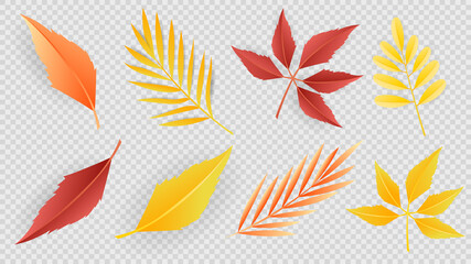  leaves Autumn seasonal background frame and autumn isolated on transparent background ,  Flat Modern design , Illustration Vector  EPS 10
