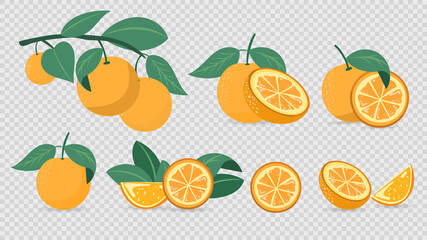 Set orange and leaf symbols vector   isolated on transparent background ,  Flat Modern design , Illustration Vector  EPS 10