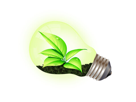 Green eco bulb idea vector illustration