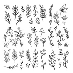 Fototapeta premium Floral doodles graphic elements vector set. Flowers and plants hand drawn illustrations.