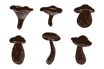 Forest Mushroom Silhouette Set.  Edible mushrooms Collection. White mushroom, russula, boletus, chanterelle. Vector illustration for logo, menu, print, sticker, design and decoration. Premium Vector - obrazy, fototapety, plakaty