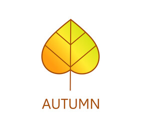 Autumn leaf colorful icon.