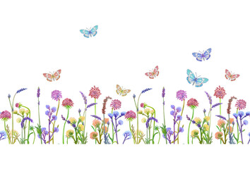 seamless texture with isolated border of meadow wild flowers, plants and flying butterflies around. watercolor painting