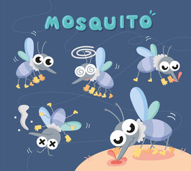 set close up mosquito