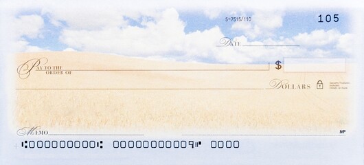 Blank Check Template